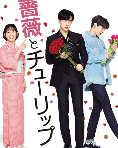 A Rose and A Tulip movie poster