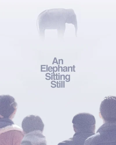 An Elephant Sitting Still