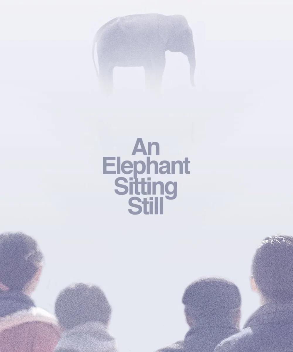 An Elephant Sitting Still